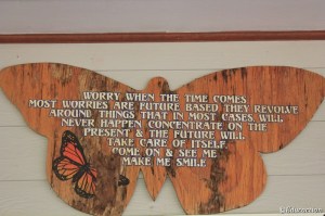 Batchelor  Butterfly Farm