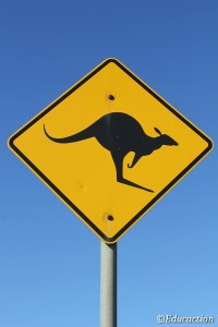 Canguro, símbolo de Australia